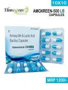 AMOXREEN-500 LB - Homogreen Pharmaceuticals