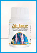 JOINT BOOSTER - Wellmed Pharma