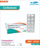 CETLUKAST - Wellmed Pharma