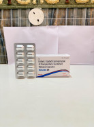 ESOLEAD-SR - Health Guard India Private Limited