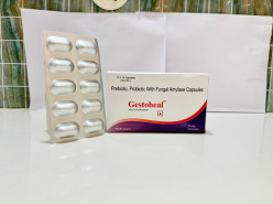 "GESTOHEAL (FOOD)" - Health Guard India Private Limited